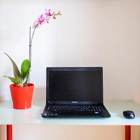 Domus Giulio - Vatican Museums