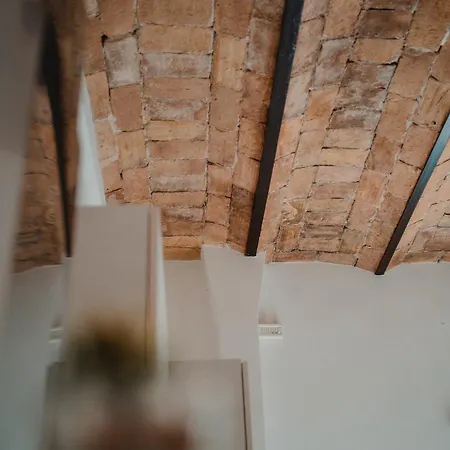 Domus Giulio - Vatican Museums *