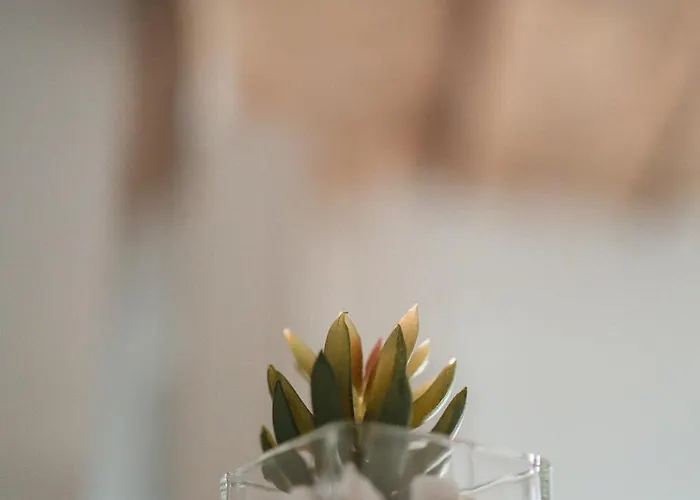 Domus Giulio - Vatican Museums בית נופש