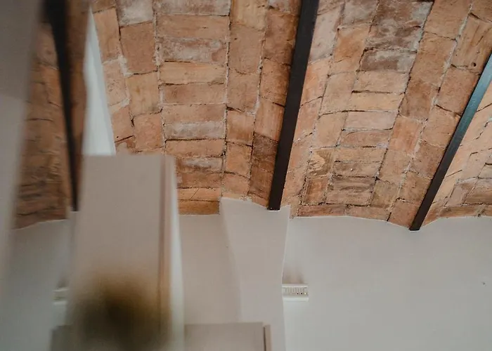 Domus Giulio - Vatican Museums *