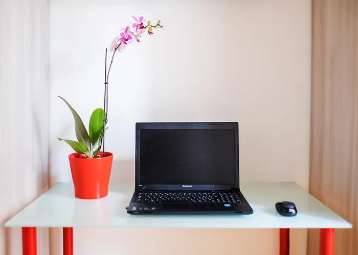 Domus Giulio - Vatican Museums