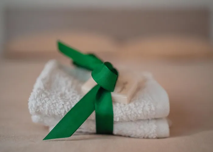 Domus Giulio - Vatican Museums * Roma